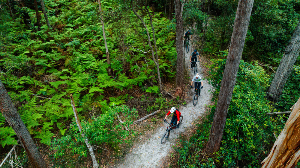 Gravity Eden Mountain Bike Trails